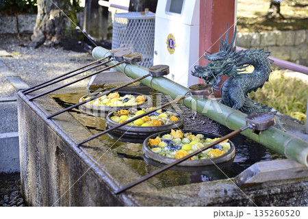 花手水 花手水 135260520