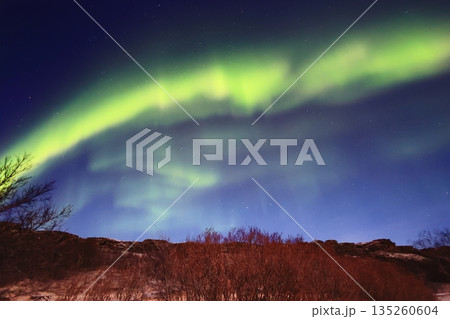 オーロラの見える景色 135260604