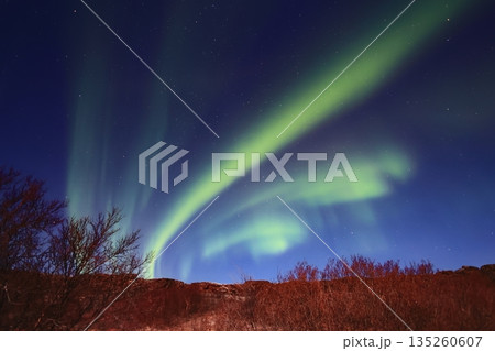 オーロラの見える景色 135260607