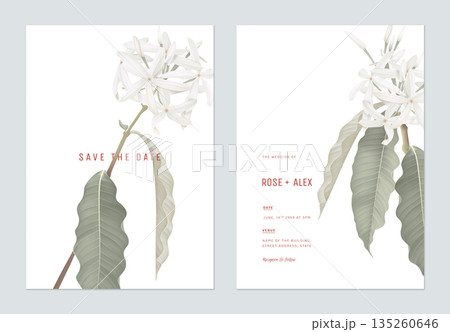 Floral wedding invitation card template design, Medicinal Kopsia flowers with leaves on white 135260646
