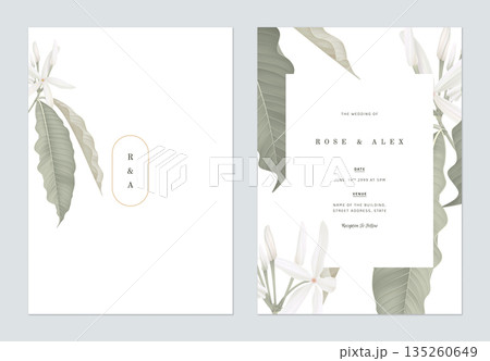 Floral wedding invitation card template design, Medicinal Kopsia flowers on white 135260649