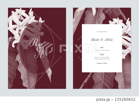 Floral wedding invitation card template design, Medicinal Kopsia flowers with leaves on dark red 135260652