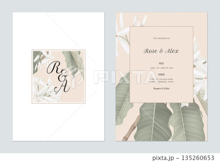 Floral wedding invitation card template design, Medicinal Kopsia flowers with leaves on white and brown 135260653