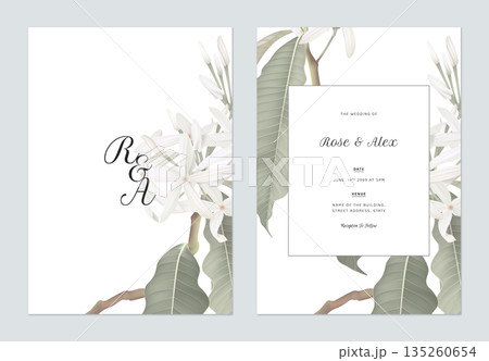 Floral wedding invitation card template design, Medicinal Kopsia flowers with leaves on white 135260654