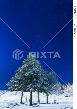 冬の霧ケ峰高原から樹氷の上に輝く星空 135260712