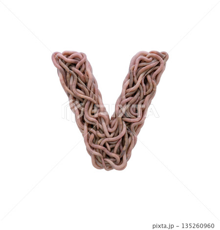 earthworm letter V - Small 3d earthworm font - Suitable for gardening, compost or horror concept related subjects 135260960