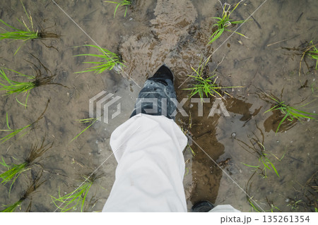 various various 135261354