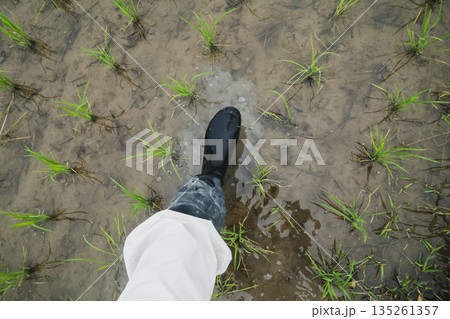 various various 135261357