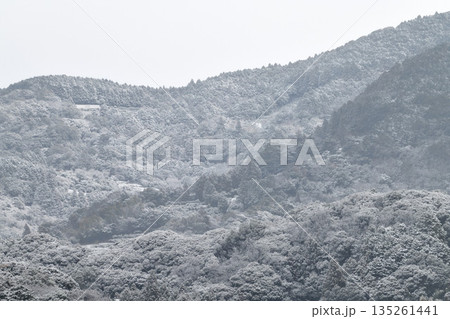 南国九州長崎の雪景色 南国九州長崎の雪景色 135261441
