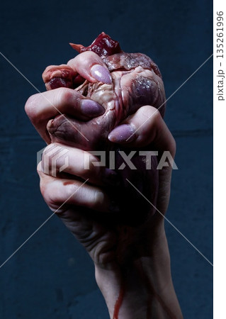 Hand holding a raw heart in a dark setting with a focus on the gripping motion and texture of the heart 135261996