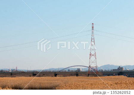 淀川に建つ送電線 135262052