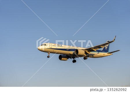 夕方の大阪空港(伊丹空港) 着陸中の飛行機 大阪府豊中市 夕方の大阪空港(伊丹空港) 着陸中の飛行機 大阪府豊中市 135262092