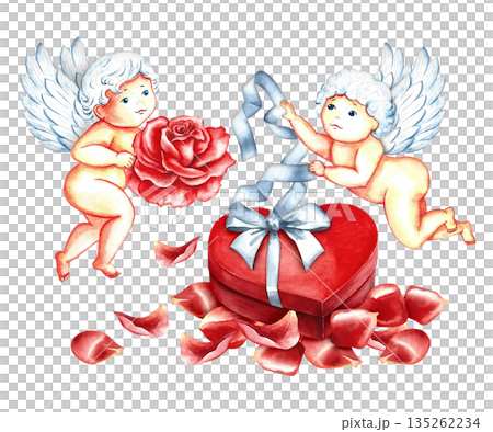 Cute cupids flying over a heart-shaped gift box on the petals of red roses. Hand-drawn watercolor illustration. Cupids preparing a Valentine's Day gift. For greeting and invitation cards and more. 135262234