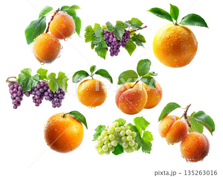 Set of apricot, grapefruit and red grapes hanging on the vine with green leaves isolated on white transparent background Set of apricot, grapefruit and red grapes hanging on the vine with green leaves isolated on white transparent background 135263016