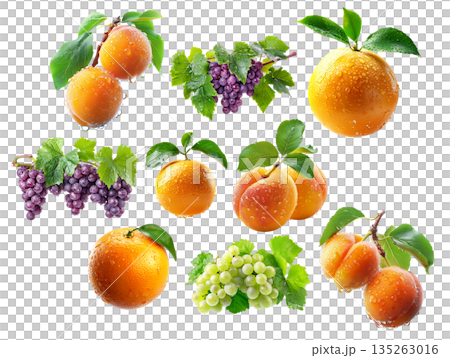 Set of apricot, grapefruit and red grapes hanging on the vine with green leaves isolated on white transparent background Set of apricot, grapefruit and red grapes hanging on the vine with green leaves isolated on white transparent background 135263016