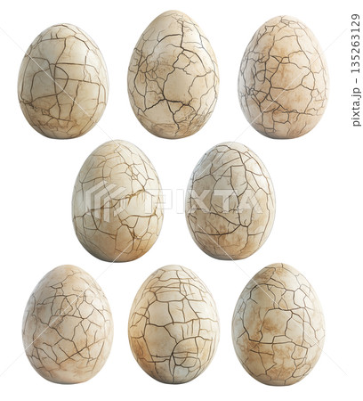 Large cracked dinosaur chicken egg with textured surface and detailed fractures isolated on white transparent background Large cracked dinosaur chicken egg with textured surface and detailed fractures isolated on white transparent background 135263129