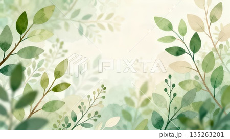水彩調のボタニカル背景 やわらかいパステルグリーンの植物柄壁紙 水彩調のボタニカル背景 やわらかいパステルグリーンの植物柄壁紙 135263201