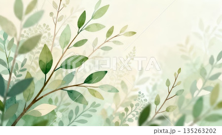 水彩調のボタニカル背景　やわらかいパステルグリーンの植物柄壁紙 135263202