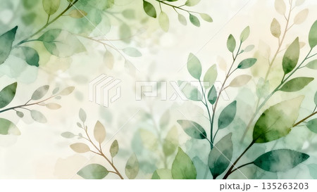水彩調のボタニカル背景 やわらかいパステルグリーンの植物柄壁紙 水彩調のボタニカル背景 やわらかいパステルグリーンの植物柄壁紙 135263203