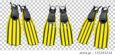 Set of diving flippers for summer holidays and snorkeling on white background. 135263234