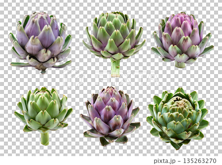 Set of Green artichoke with a purple base is isolated on a white background 135263270