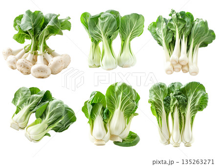 Set of Fresh green bok choy vegetables cabbage isolated on a white background Set of Fresh green bok choy vegetables cabbage isolated on a white background 135263271