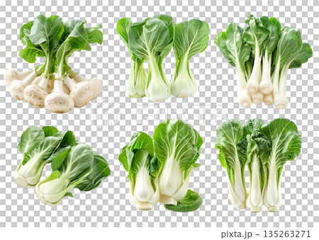 Set of Fresh green bok choy vegetables cabbage isolated on a white background Set of Fresh green bok choy vegetables cabbage isolated on a white background 135263271