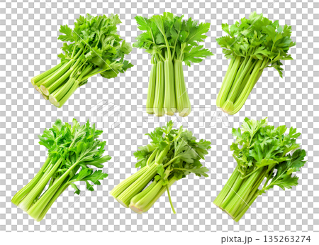 Set of green Pascal celery isolated on a white transparent background. Perfect for salads, various cooking methods, and healthy, nutritious dishe Set of green Pascal celery isolated on a white transparent background. Perfect for salads, various cooking methods, and healthy, nutritious dishe 135263274