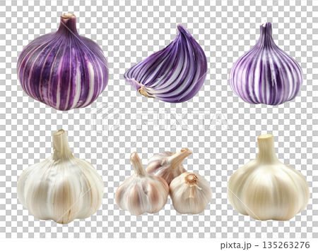 Ripe creole garlic bulb isolated on a white background Ripe creole garlic bulb isolated on a white background 135263276