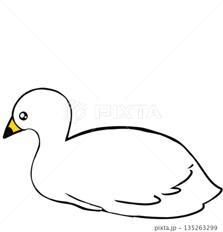 白鳥 白鳥 135263299