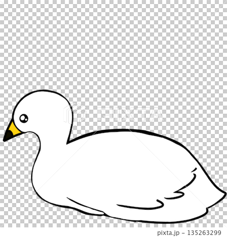 白鳥 白鳥 135263299