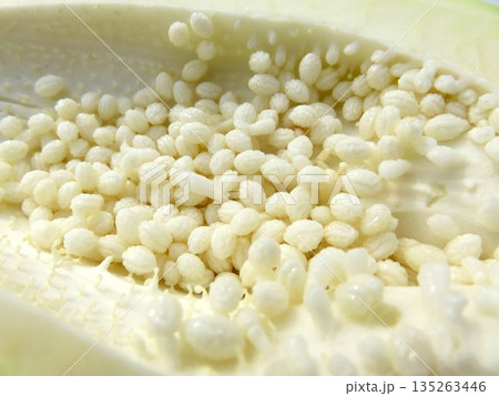 青パパイヤ　種子 135263446