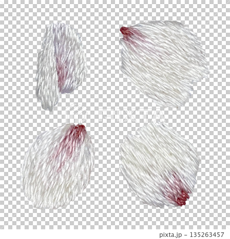 【桜の花びらセット】手刺繍イラスト素材 135263457