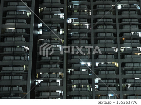 何人住んでるの？って思う程デカい数号住宅 135263776