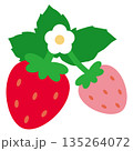シンプルでかわいい葉っぱと白い花が咲いた赤とピンク2個のイチゴ素材ベクターイラスト 135264072