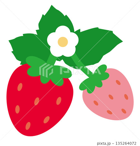 シンプルでかわいい葉っぱと白い花が咲いた赤とピンク2個のイチゴ素材ベクターイラスト シンプルでかわいい葉っぱと白い花が咲いた赤とピンク2個のイチゴ素材ベクターイラスト 135264072