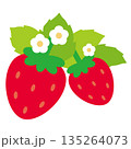 シンプルでかわいい葉っぱと白い花が咲いた赤色の2個のイチゴ素材ベクターイラスト 135264073