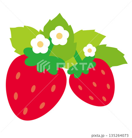 シンプルでかわいい葉っぱと白い花が咲いた赤色の2個のイチゴ素材ベクターイラスト 135264073
