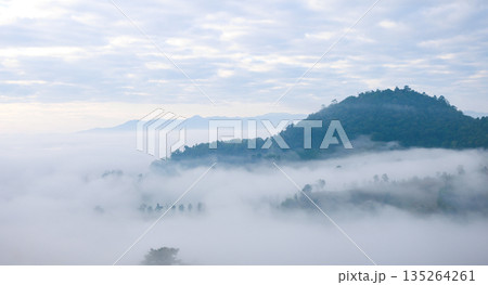 Misty mountain landscape with a sea of clouds over forested hills at dawn, soft blue sky and tranquil atmosphere. Ideal for calm, quiet, nature, wellness and background with copy space. Misty mountain landscape with a sea of clouds over forested hills at dawn, soft blue sky and tranquil atmosphere. Ideal for calm, quiet, nature, wellness and background with copy space. 135264261