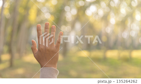 Raised open palm in worship and prayer, expressing faith in God. Soft sunlit bokeh in nature creates a peaceful spiritual background with copy space for church banners. Raised open palm in worship and prayer, expressing faith in God. Soft sunlit bokeh in nature creates a peaceful spiritual background with copy space for church banners. 135264262