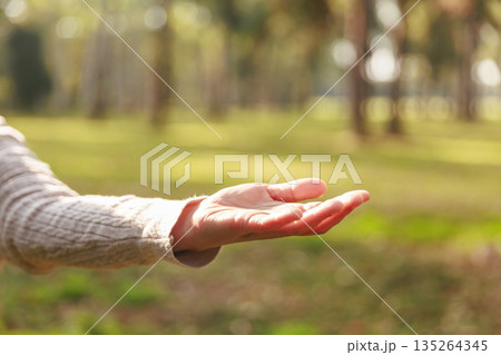 Open hand, palm up, in a sunny park with soft bokeh and warm natural light, symbolizing giving, support, invitation, help, donation and human connection with copy space for charity ads. 135264345