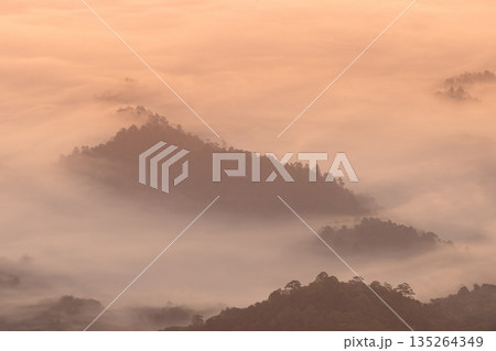 Peach sunrise over misty mountain ridges floating in a sea of fog, creating soft layered silhouettes and calm atmosphere. Minimal landscape background with copy space for travel, wellness. Peach sunrise over misty mountain ridges floating in a sea of fog, creating soft layered silhouettes and calm atmosphere. Minimal landscape background with copy space for travel, wellness. 135264349