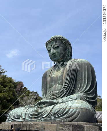 鎌倉の大仏 鎌倉の大仏 135264374