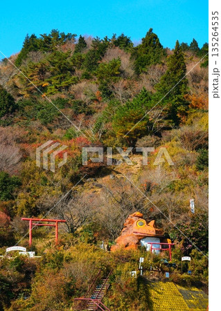 晩秋の筑波山 135264535