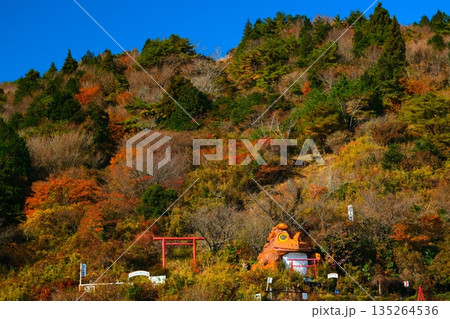 晩秋の筑波山 135264536