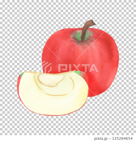 Illustration of an apple and a slice, hand-drawn watercolor fruit. Ripe, realistic seasonal fruit. Illustration of an apple and a slice, hand-drawn watercolor fruit. Ripe, realistic seasonal fruit. 135264654
