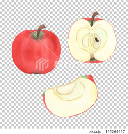 Illustration of an apple, slice and half, hand-drawn watercolor fruit. Ripe, realistic seasonal fruit. 135264657
