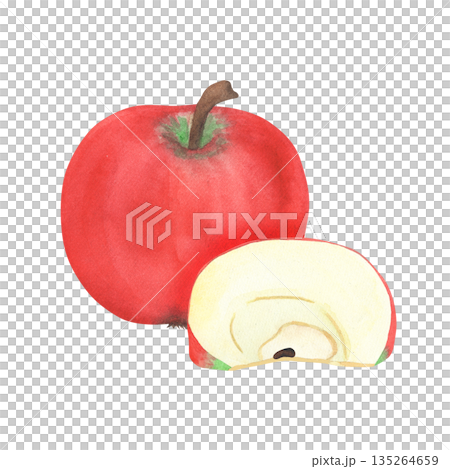 Illustration of an apple and a slice, hand-drawn watercolor fruit. Ripe, realistic seasonal fruit. 135264659