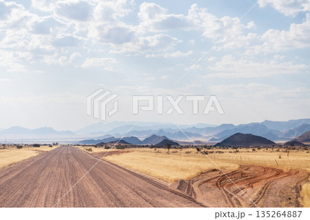 Namibian Desert Landscape Namibian Desert Landscape 135264887