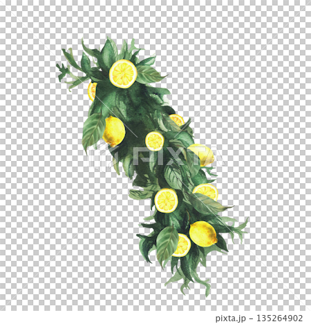 Lemons tree branch with green leaves and yellow citrus whole fruit and slices. Watercolor Realistic hand drawn botanical illustration for birthday, wedding decor, cosmetic. Isolated from background Lemons tree branch with green leaves and yellow citrus whole fruit and slices. Watercolor Realistic hand drawn botanical illustration for birthday, wedding decor, cosmetic. Isolated from background 135264902